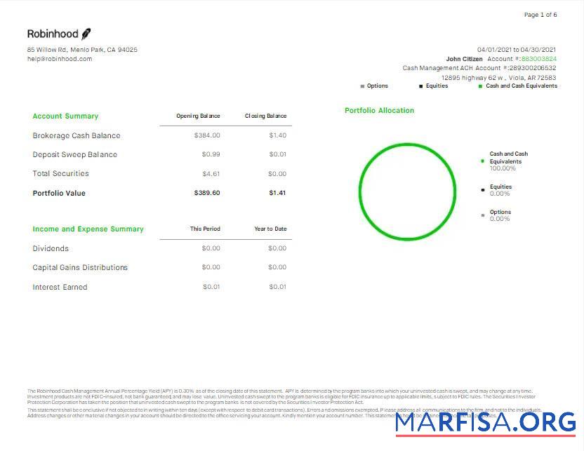 Downloadable USA Robihood bank statement word example